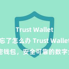 Trust Wallet助记词忘了怎么办 Trust Wallet加密钱包，安全可靠的数字金钱责罚器具